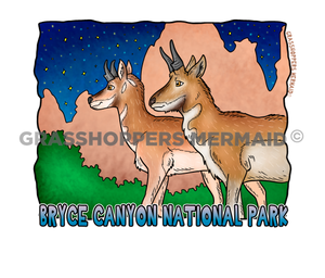 Pronghorns at Night