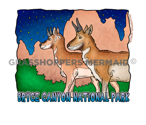 Pronghorns at Night