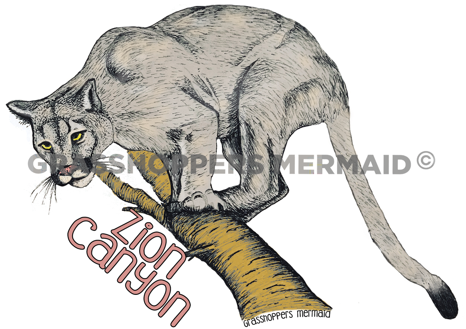 Florida Panther