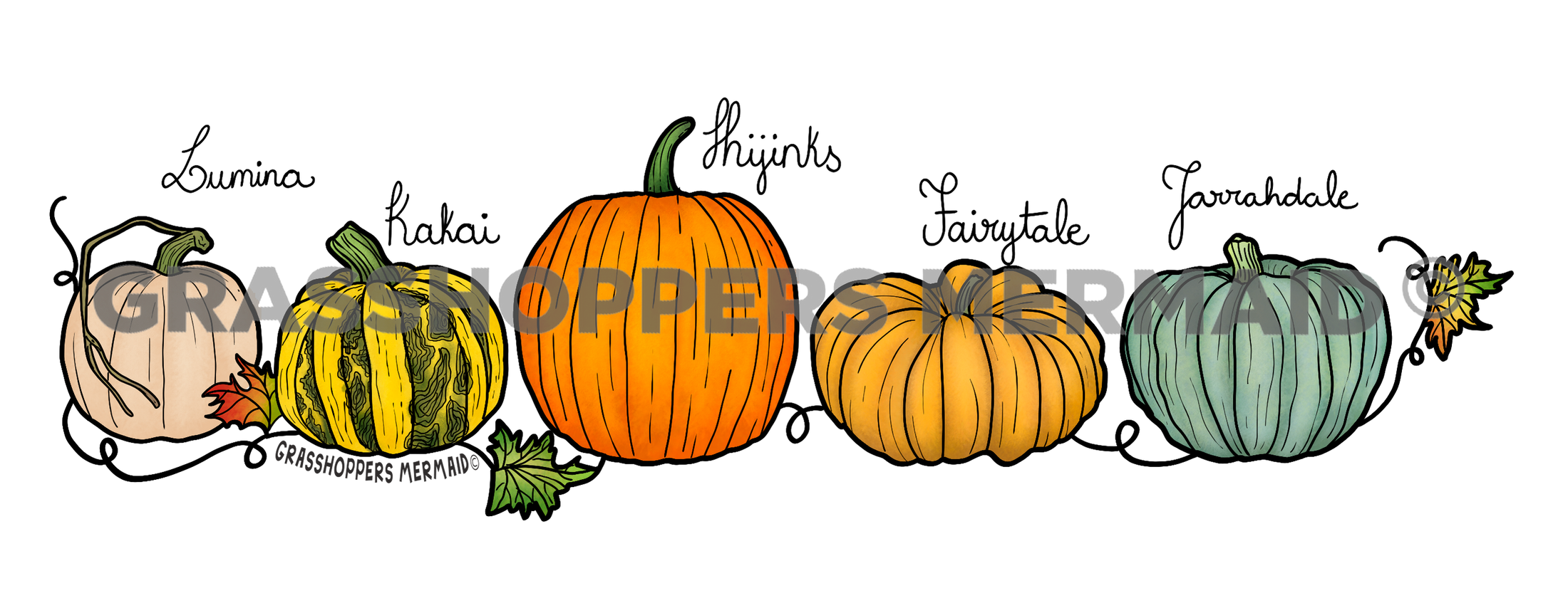 Pumpkin Lineup