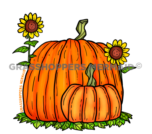 Pumpkins & Sunflowers