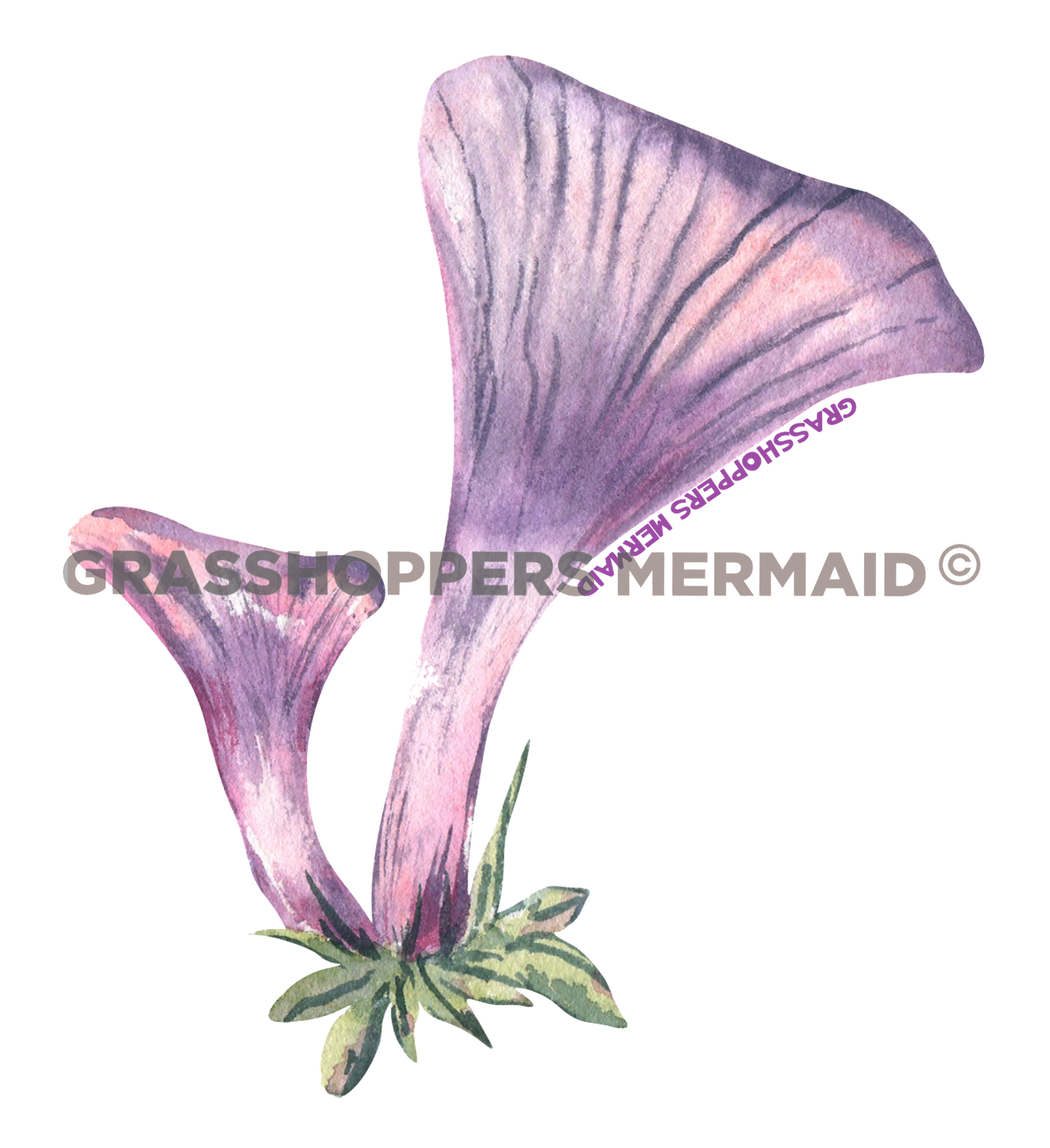 Purple Mushroom Duo