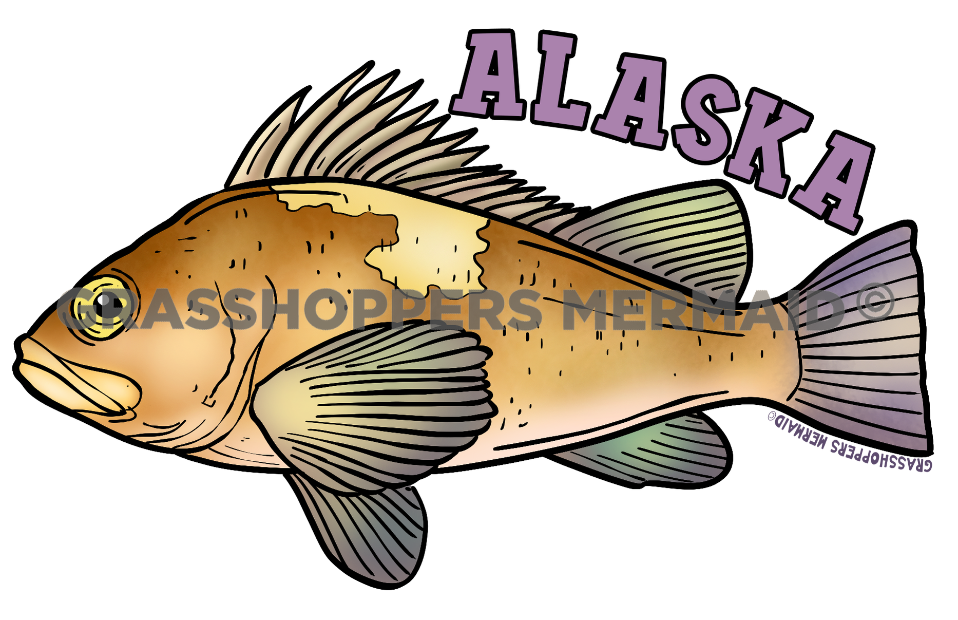 Quillback Rockfish