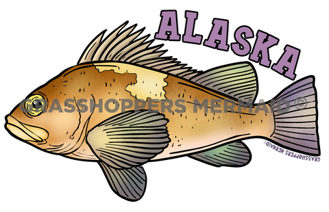Quillback Rockfish