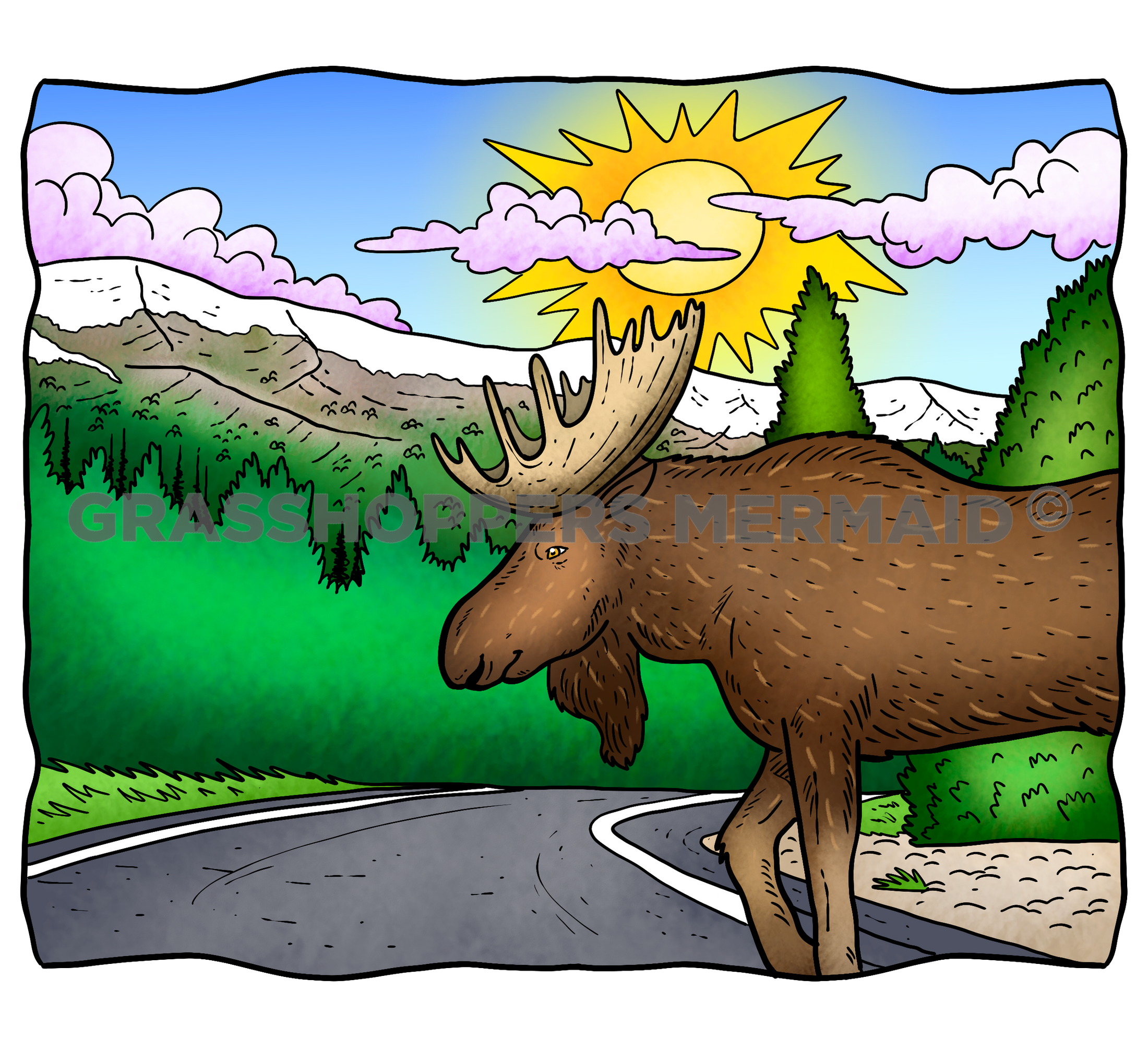 RMNP Moose