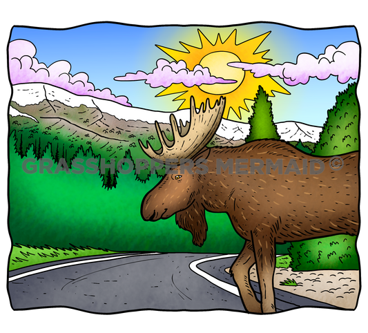 RMNP Moose