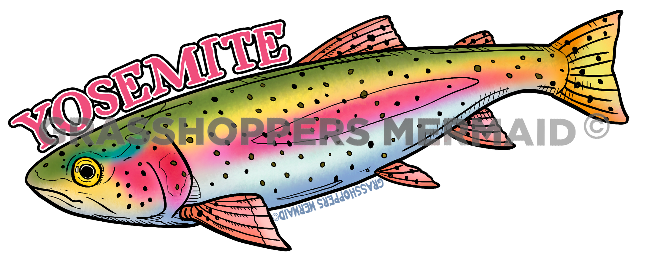 Rainbow Trout Solo