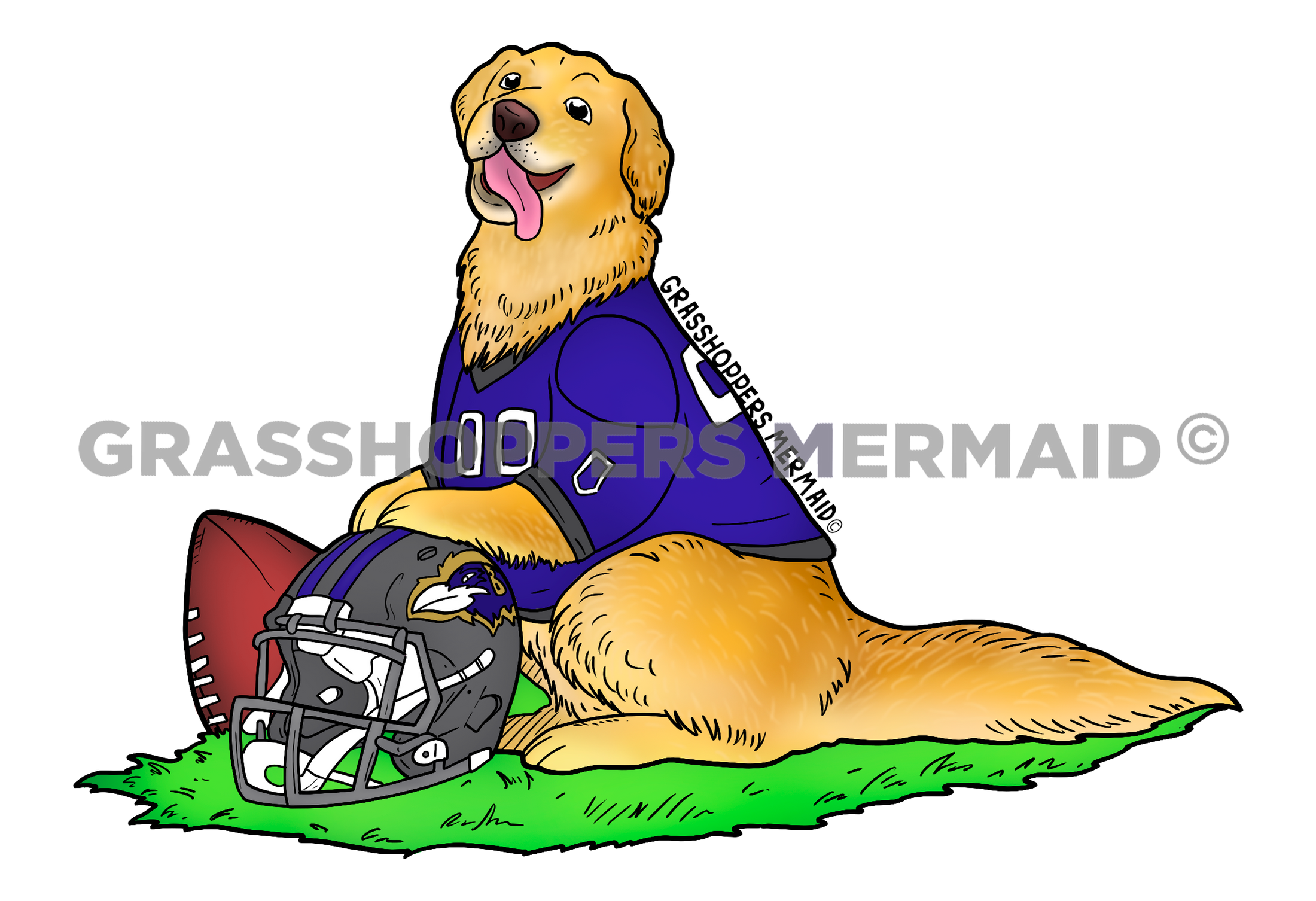 Raven's Football Pup