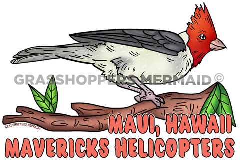 Red Crested Cardinal