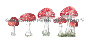 Red Mushroom Lineup