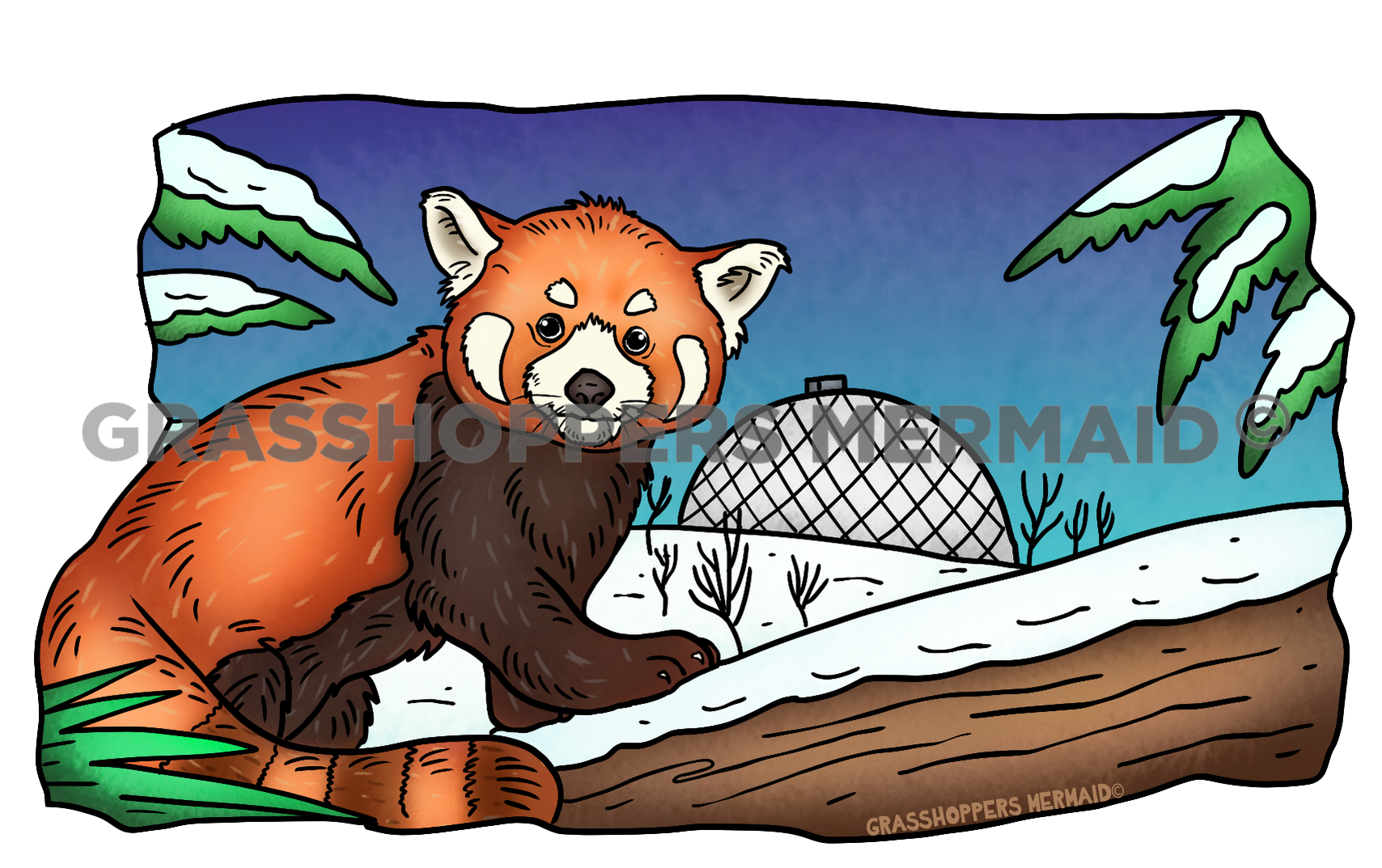 Red Panda Zoo Day