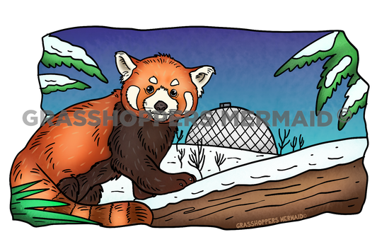 Red Panda Zoo Day