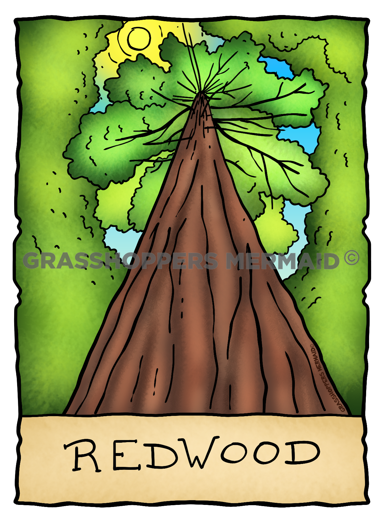 Redwood Ground Views