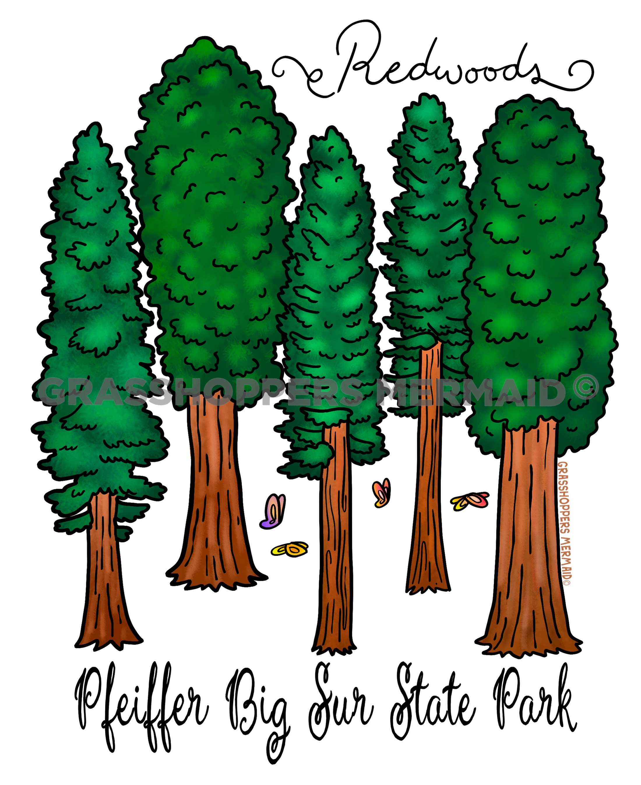 Redwoods Lineup
