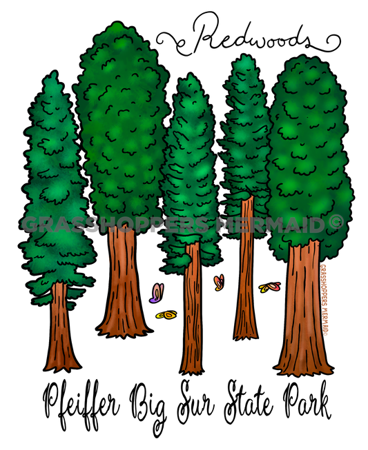Redwoods Lineup