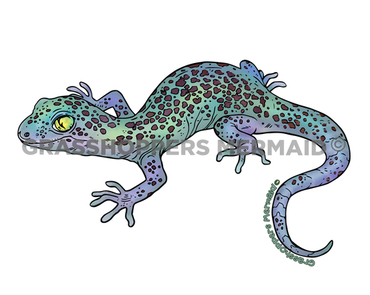 Reticulated Banded Gecko