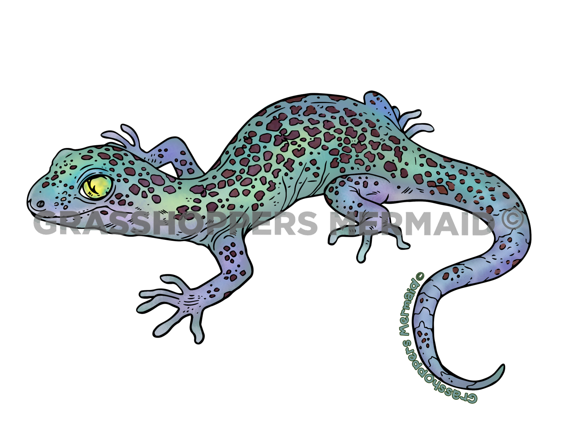 Reticulated Banded Gecko
