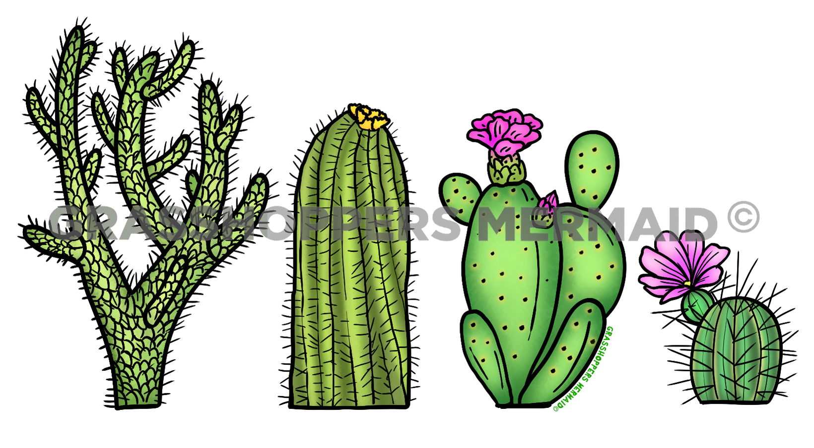 Retro Cactus Lineup
