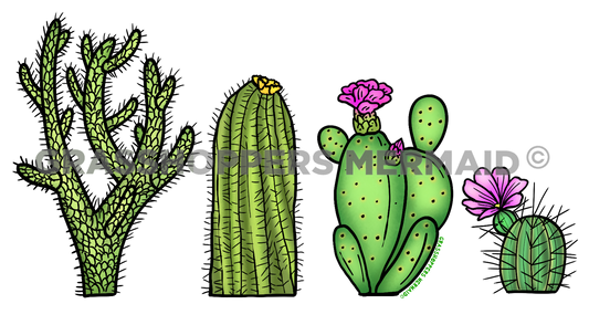 Retro Cactus Lineup