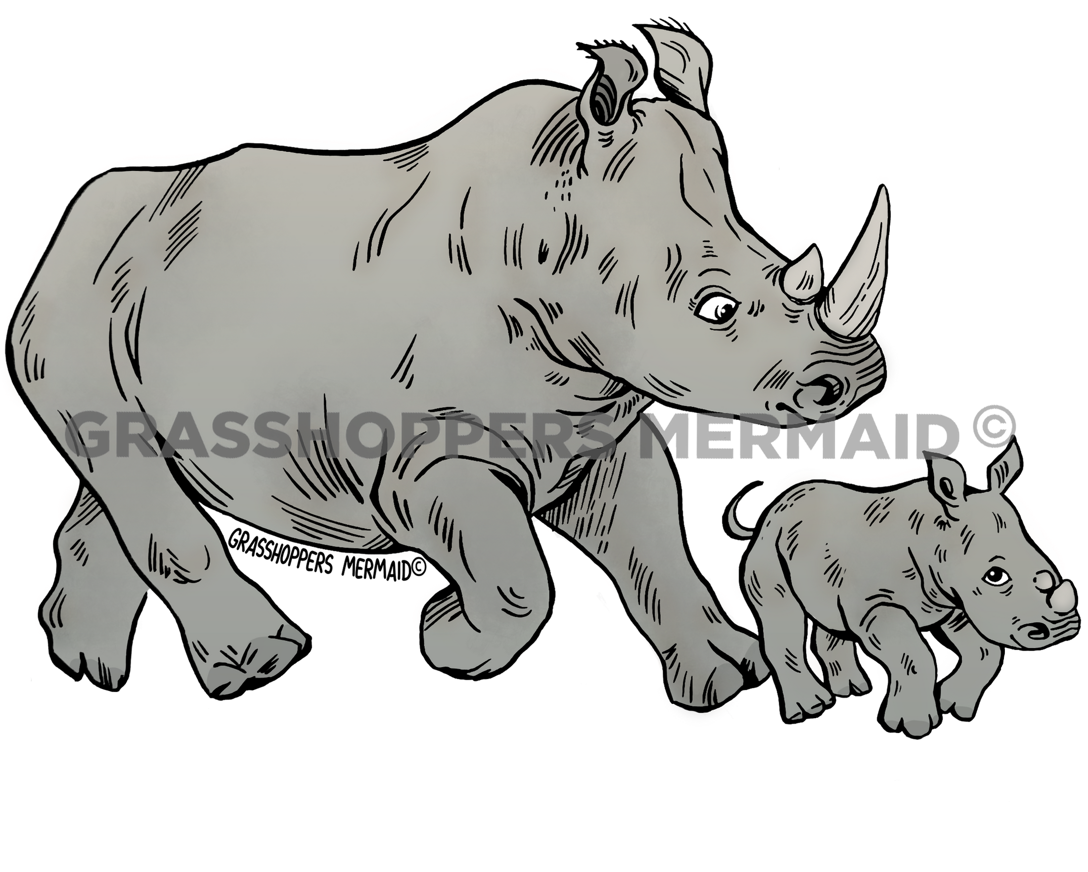 Rhino Family