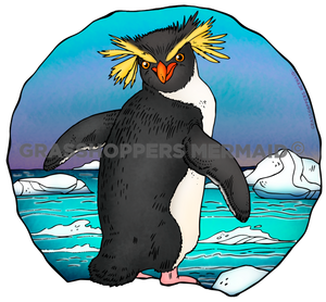 Rockhopper Penguin