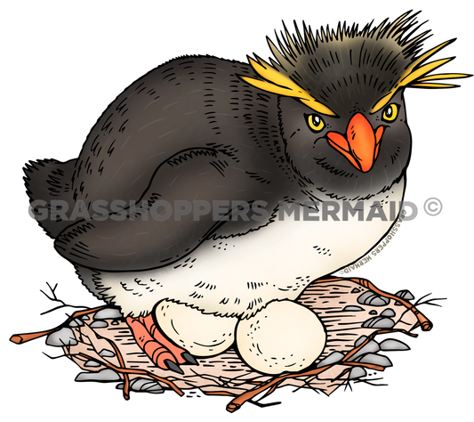Rockhopper Penguin Nest Sticker | Waterproof Vinyl Sticker & Laptop Decal | Weatherproof Art