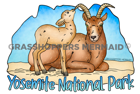 Bighorn Sheep & Baby