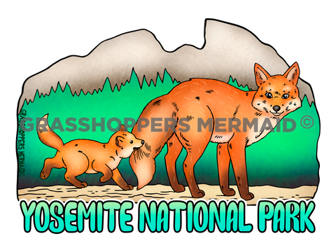 Red Fox Tail Follow