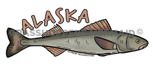 Sablefish