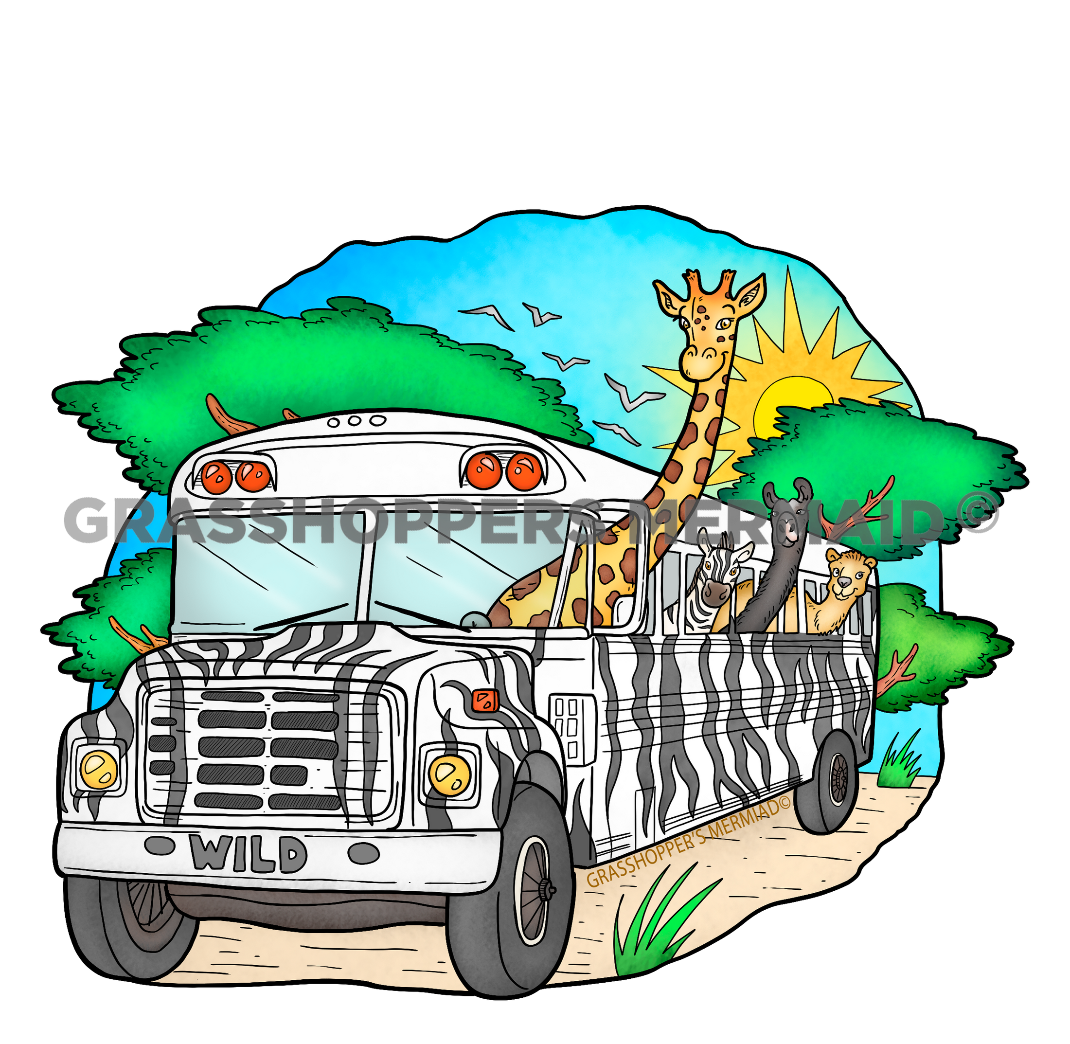 Safari Bus