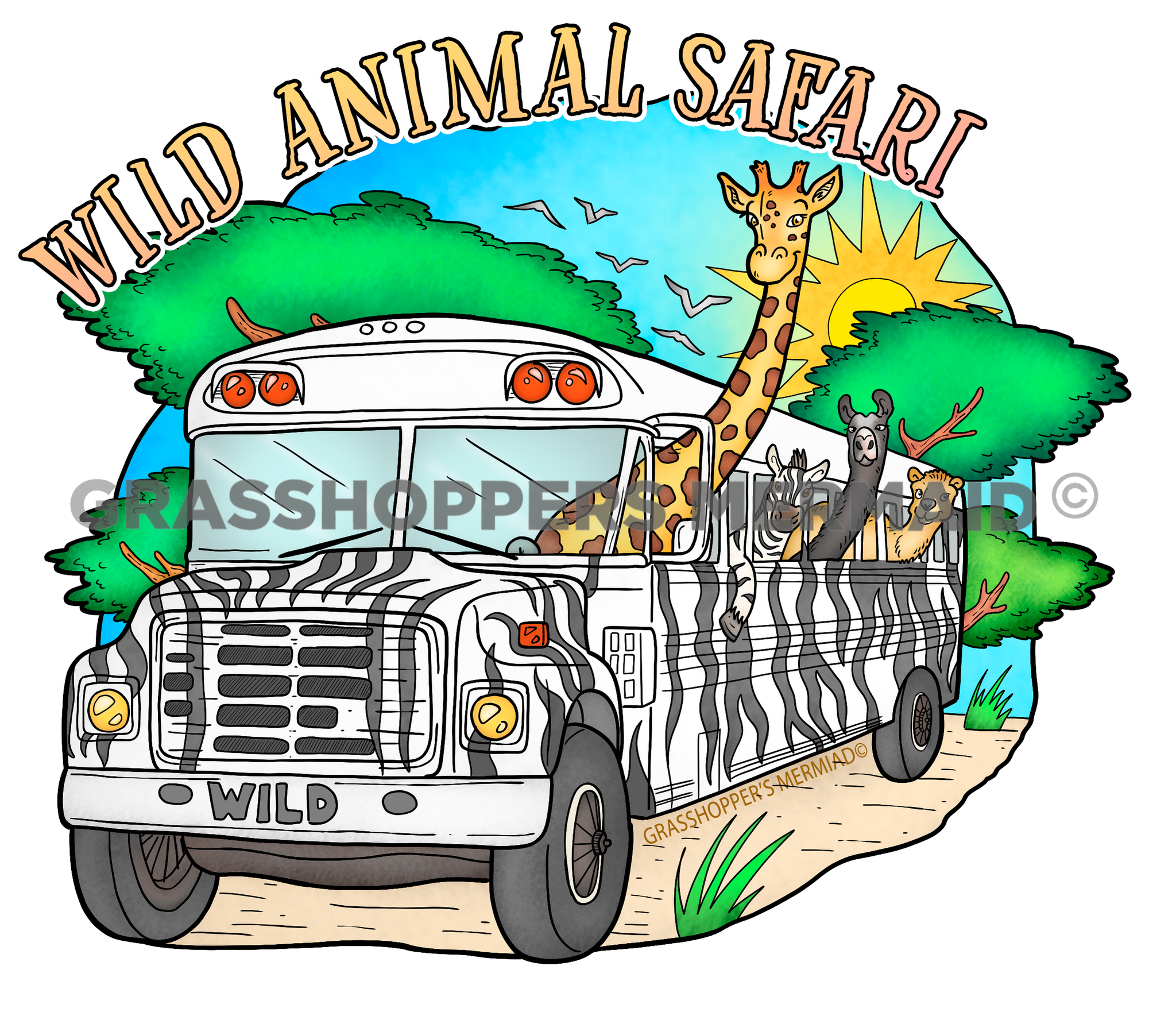 Safari Bus