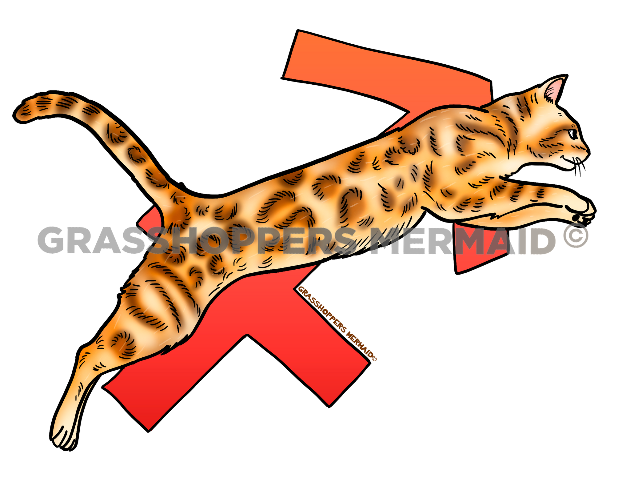 Sagittarius Cat