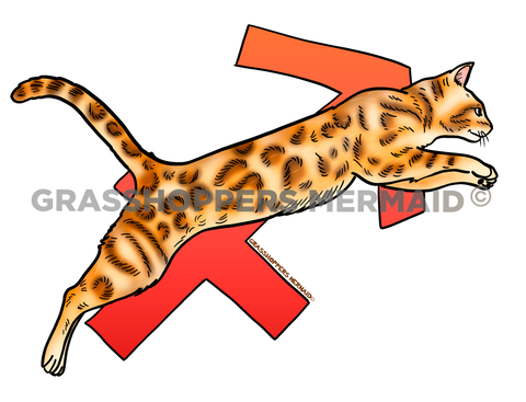 Sagittarius Cat