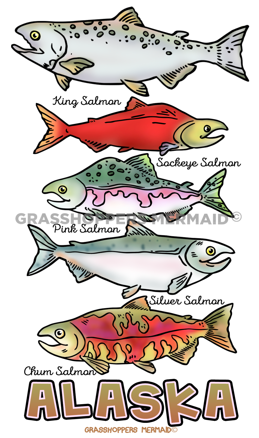 Salmon Collage