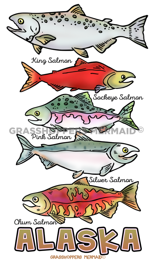 Salmon Collage
