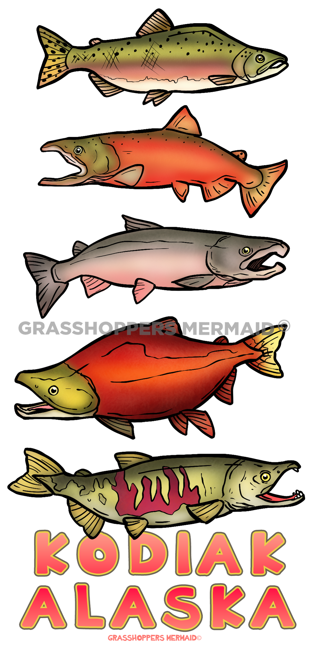 Salmon Stages