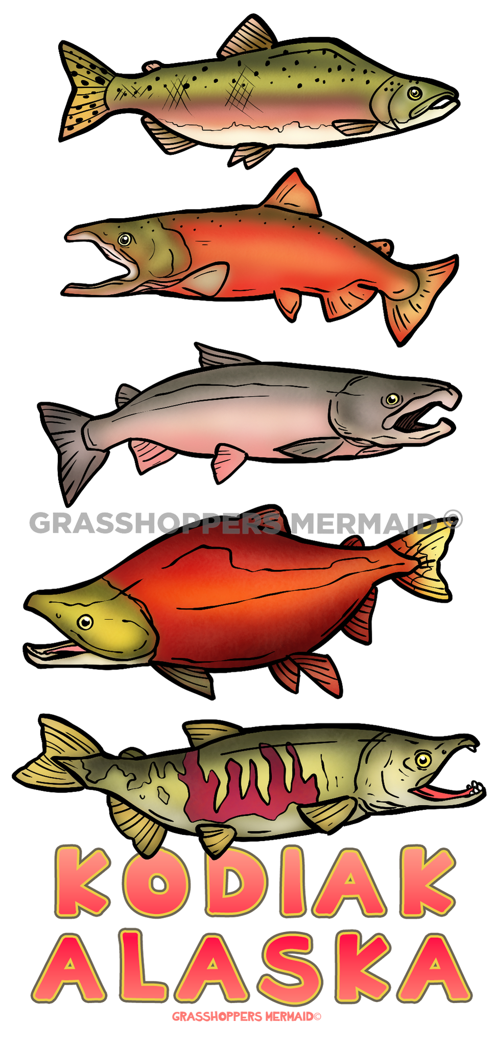 Salmon Stages