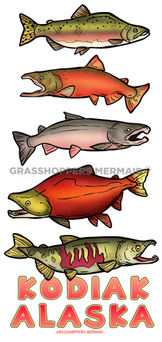 Salmon Stages
