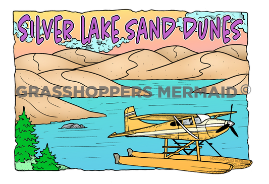 Sand Dune Float Plane