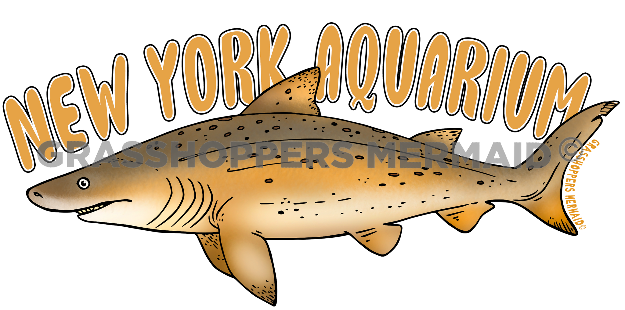 Sand Tiger Shark