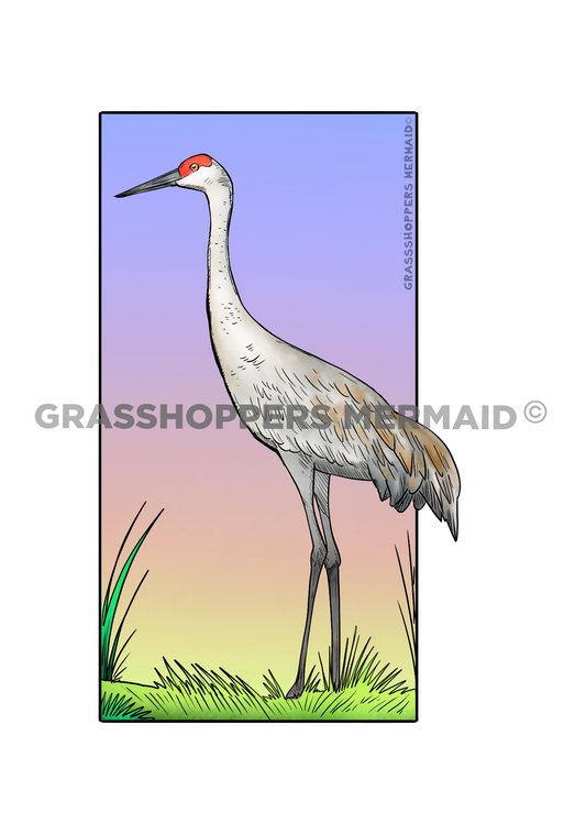 Sandhill Crane Sticker | Waterproof Vinyl Sticker & Laptop Decal | Weatherproof Art