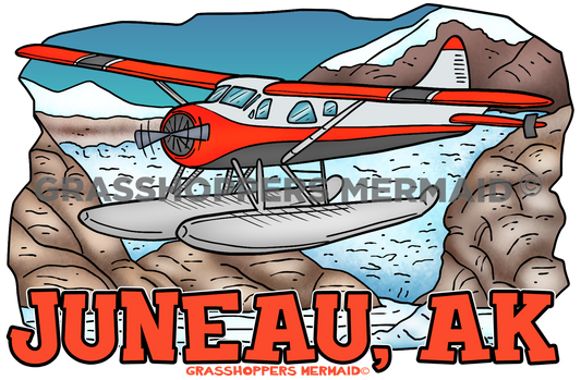 Sawyer Float Plane