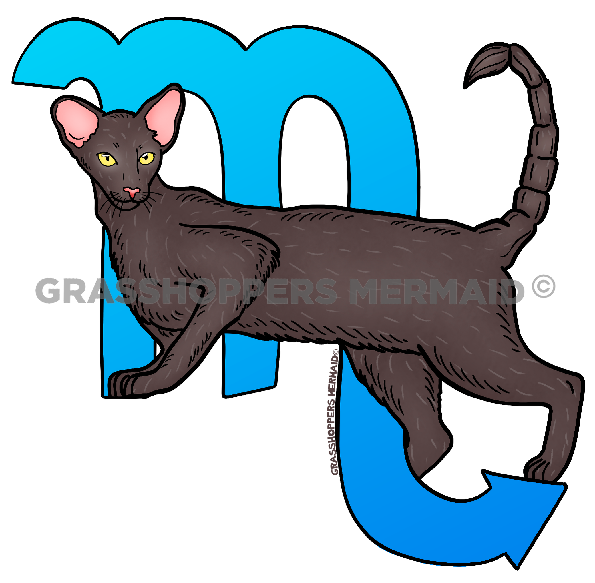 Scorpio Cat
