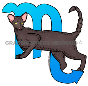 Scorpio Cat