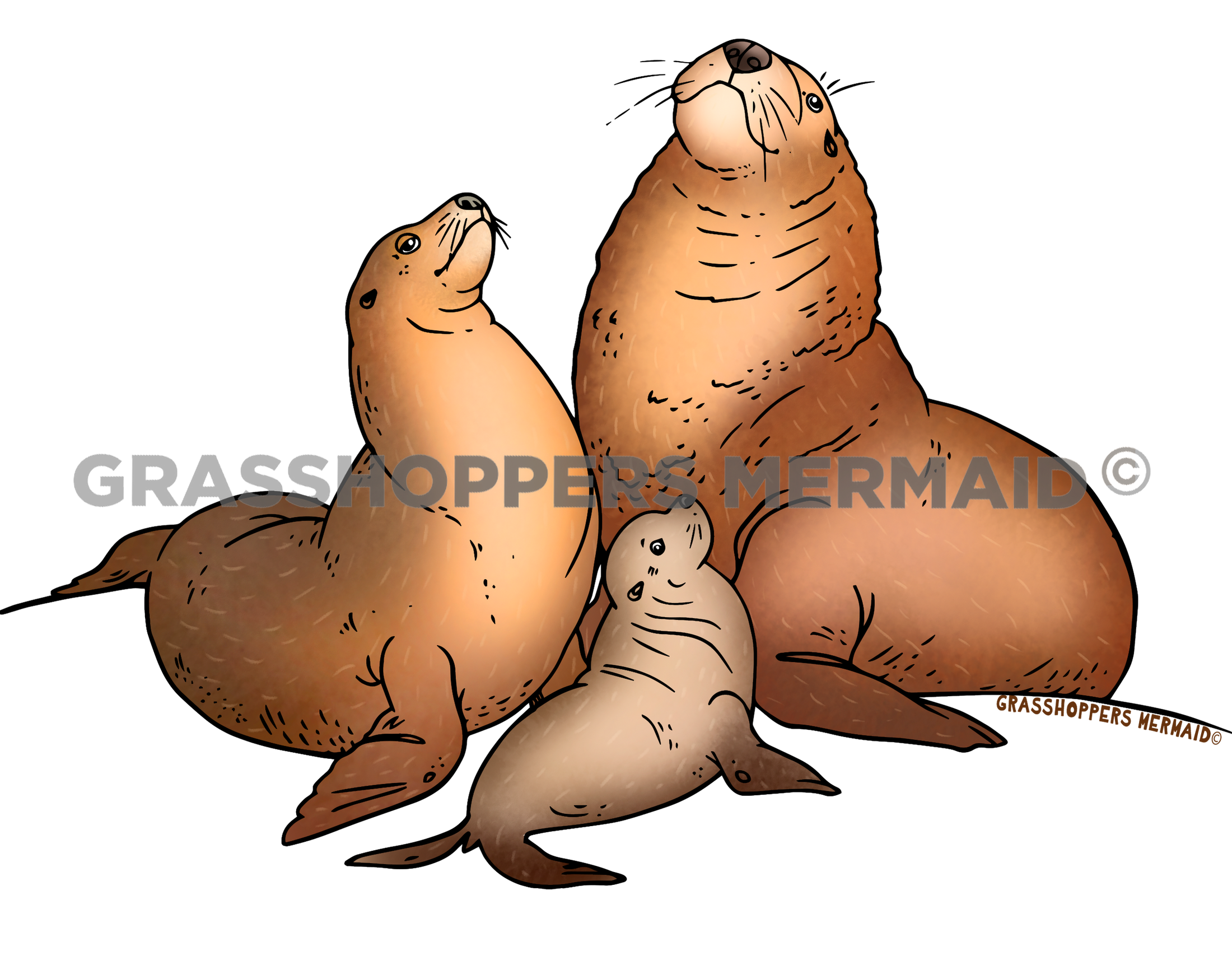 Sea Lion Family