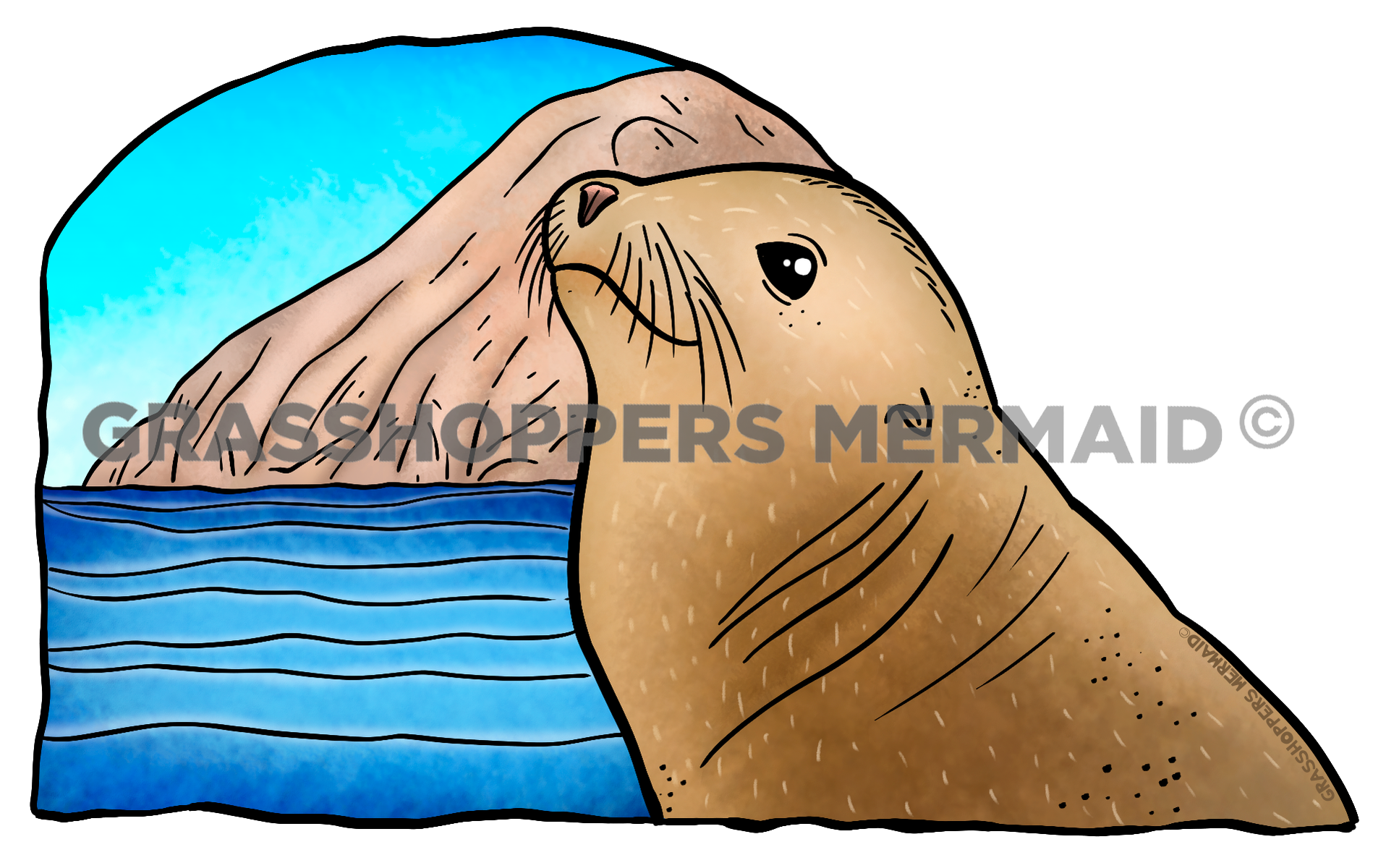 Sea Lion with Island