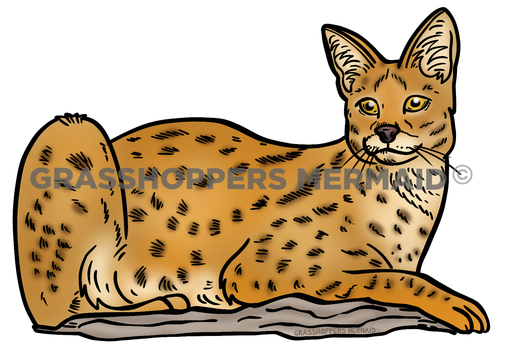 Serval