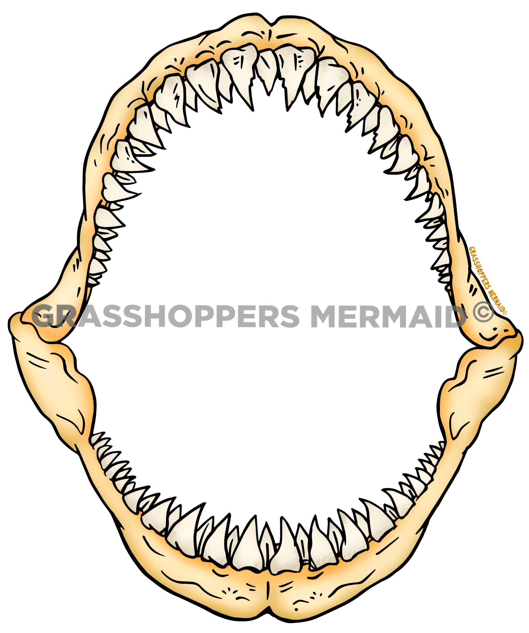 Shark Jaws