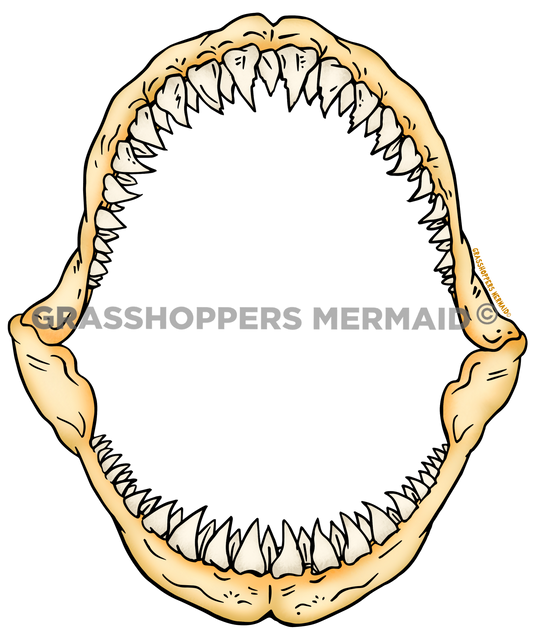 Shark Jaws