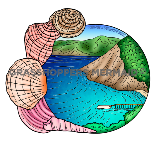 Shell Island Sticker | Waterproof Vinyl Sticker & Laptop Decal | Weatherproof Art